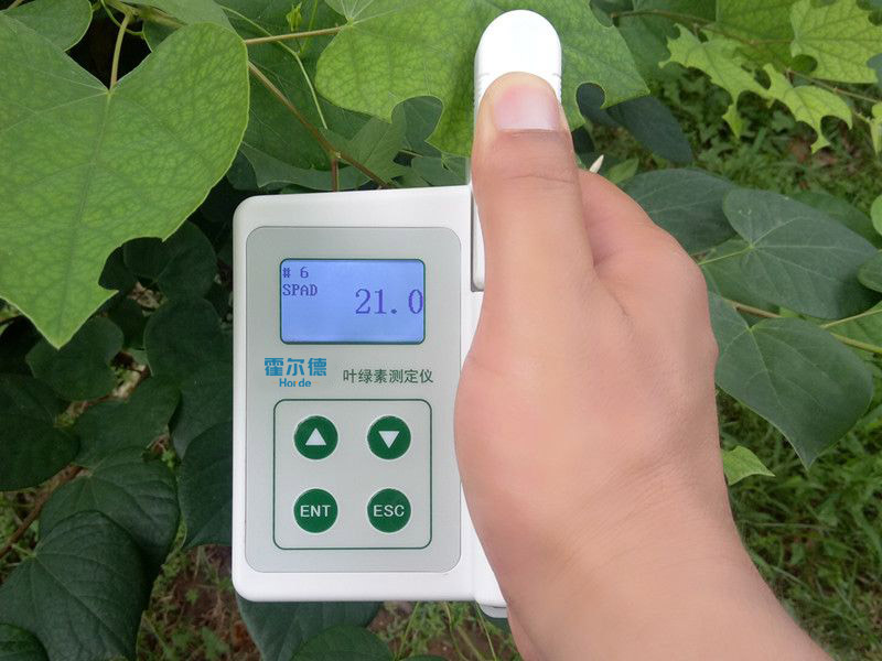 葉綠素含量測(cè)定儀具備哪些功能