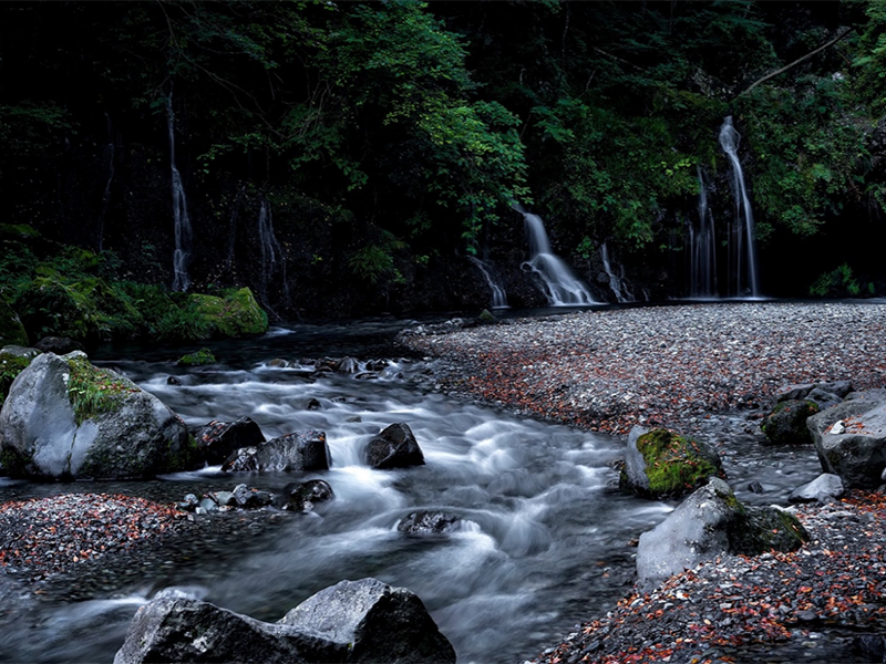 水質(zhì)生物毒性檢測(cè)儀作用 水質(zhì)生物毒性檢測(cè)儀作用