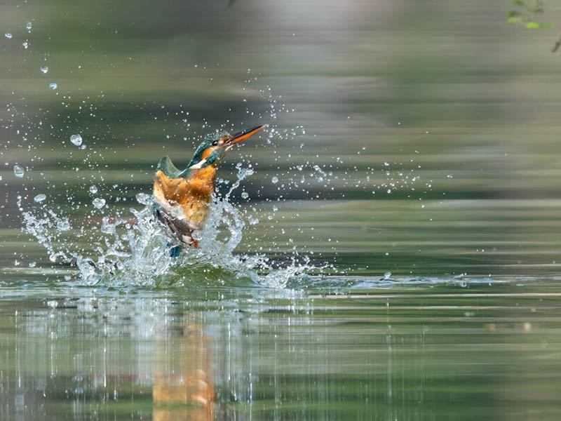 地表水環(huán)境質(zhì)量穩(wěn)步改善 地表水環(huán)境質(zhì)量穩(wěn)步改善