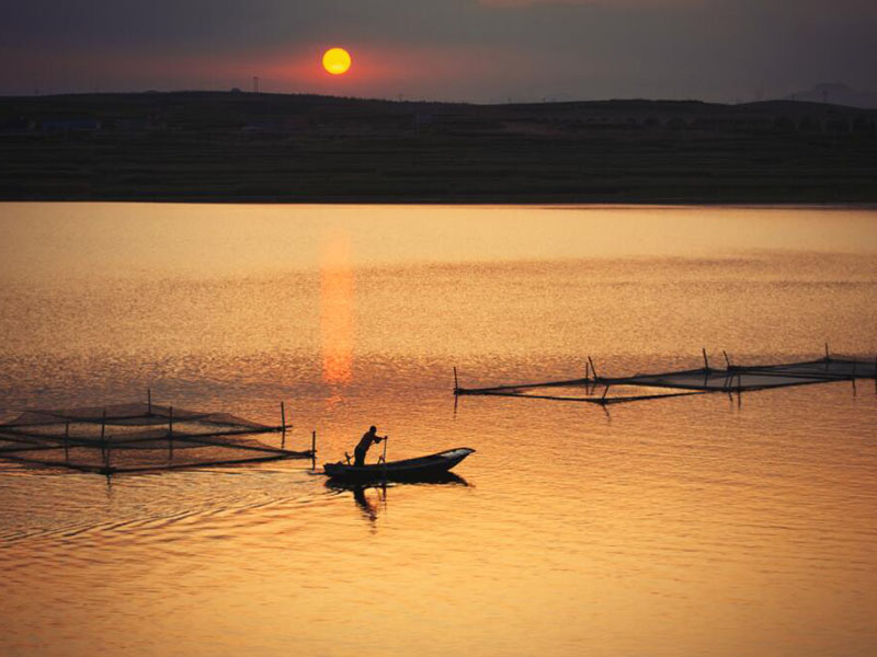 水產(chǎn)養(yǎng)殖水質(zhì)分析儀可以檢測哪些項目