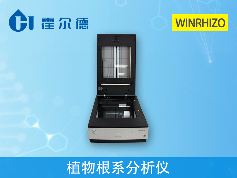 了解植物根系，對種植有什么幫助