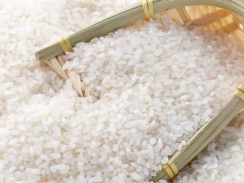 大米重金屬鎘檢測(cè)儀，可實(shí)現(xiàn)重金屬的快速定量檢測(cè)分析